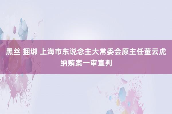 黑丝 捆绑 上海市东说念主大常委会原主任董云虎纳贿案一审宣判