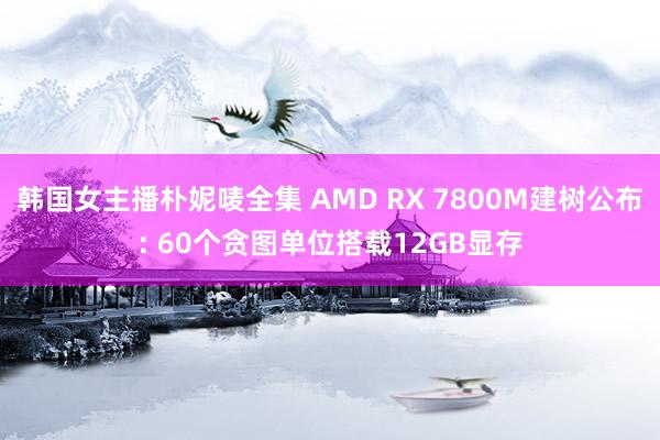 韩国女主播朴妮唛全集 AMD RX 7800M建树公布: 60个贪图单位搭载12GB显存