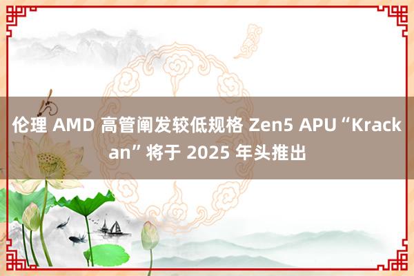 伦理 AMD 高管阐发较低规格 Zen5 APU“Krackan”将于 2025 年头推出