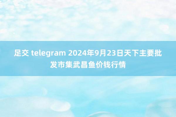 足交 telegram 2024年9月23日天下主要批发市集武昌鱼价钱行情