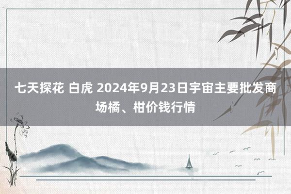 七天探花 白虎 2024年9月23日宇宙主要批发商场橘、柑价钱行情