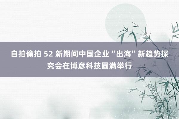 自拍偷拍 52 新期间中国企业“出海”新趋势探究会在博彦科技圆满举行