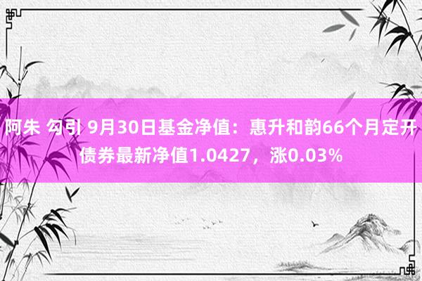 阿朱 勾引 9月30日基金净值：惠升和韵66个月定开债券最新净值1.0427，涨0.03%