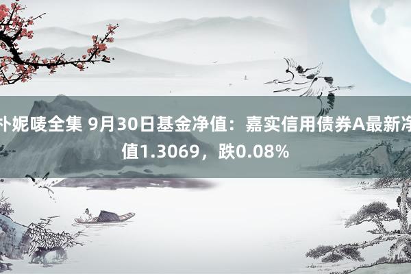 朴妮唛全集 9月30日基金净值：嘉实信用债券A最新净值1.3069，跌0.08%