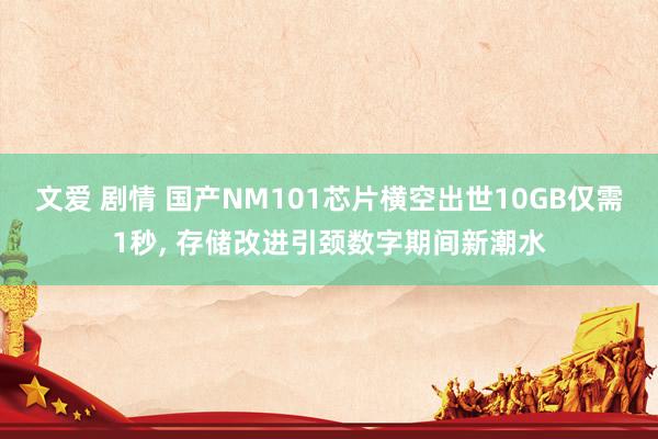 文爱 剧情 国产NM101芯片横空出世10GB仅需1秒， 存储改进引颈数字期间新潮水