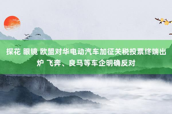 探花 眼镜 欧盟对华电动汽车加征关税投票终端出炉 飞奔、良马等车企明确反对