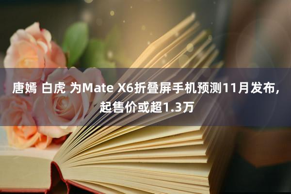 唐嫣 白虎 为Mate X6折叠屏手机预测11月发布， 起售价或超1.3万