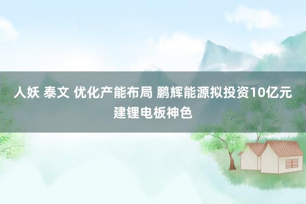 人妖 泰文 优化产能布局 鹏辉能源拟投资10亿元建锂电板神色