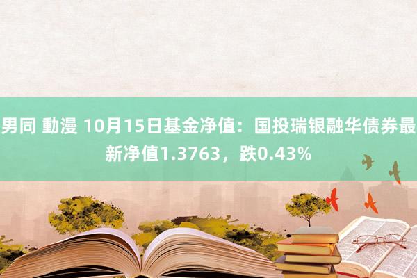 男同 動漫 10月15日基金净值：国投瑞银融华债券最新净值1.3763，跌0.43%