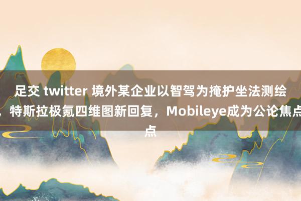 足交 twitter 境外某企业以智驾为掩护坐法测绘，特斯拉极氪四维图新回复，Mobileye成为公论焦点