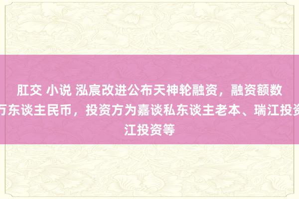 肛交 小说 泓宸改进公布天神轮融资，融资额数千万东谈主民币，投资方为嘉谈私东谈主老本、瑞江投资等