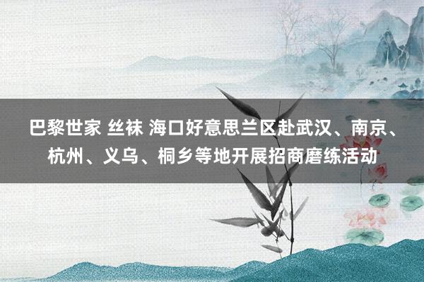 巴黎世家 丝袜 海口好意思兰区赴武汉、南京、杭州、义乌、桐乡等地开展招商磨练活动