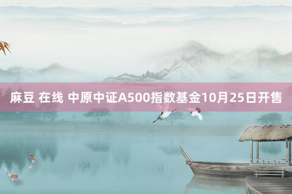 麻豆 在线 中原中证A500指数基金10月25日开售