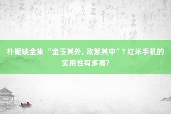 朴妮唛全集 “金玉其外， 败絮其中”? 红米手机的实用性有多高?