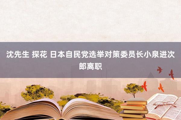 沈先生 探花 日本自民党选举对策委员长小泉进次郎离职