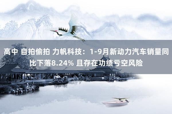 高中 自拍偷拍 力帆科技：1-9月新动力汽车销量同比下落8.24% 且存在功绩亏空风险