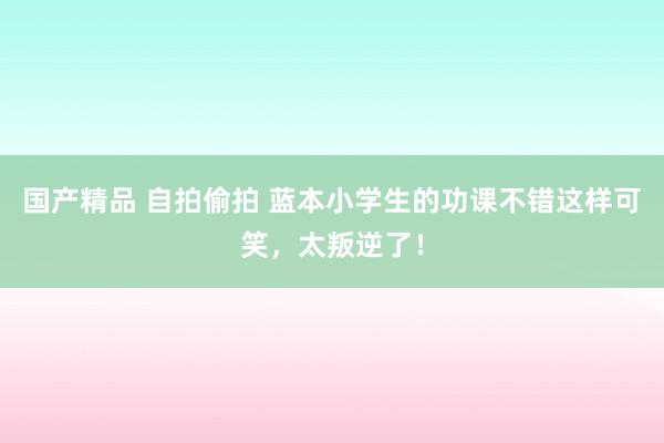 国产精品 自拍偷拍 蓝本小学生的功课不错这样可笑，太叛逆了！