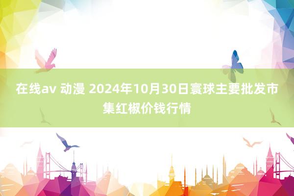 在线av 动漫 2024年10月30日寰球主要批发市集红椒价钱行情