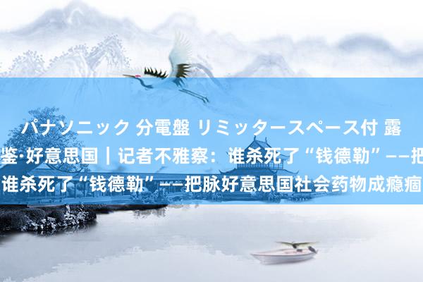 パナソニック 分電盤 リミッタースペース付 露出・半埋込両用形 各国鉴·好意思国｜记者不雅察：谁杀死了“钱德勒”——把脉好意思国社会药物成瘾痼疾