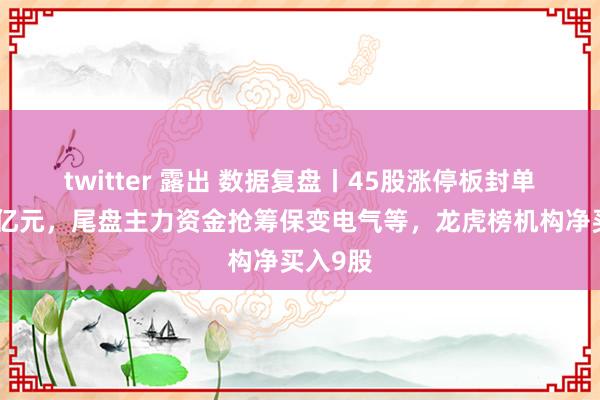 twitter 露出 数据复盘丨45股涨停板封单金额超亿元，尾盘主力资金抢筹保变电气等，龙虎榜机构净买入9股