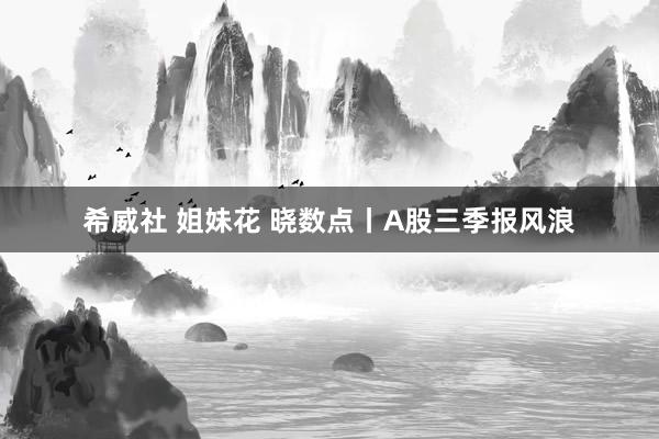 希威社 姐妹花 晓数点丨A股三季报风浪