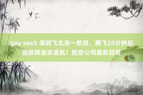 gay sex5 深圳飞北京一航班，腾飞20分钟后因故障进攻返航！航空公司最新回答