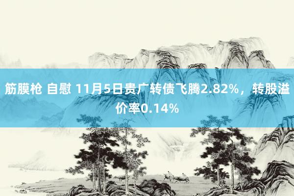 筋膜枪 自慰 11月5日贵广转债飞腾2.82%，转股溢价率0.14%