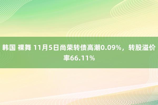 韩国 裸舞 11月5日尚荣转债高潮0.09%，转股溢价率66.11%