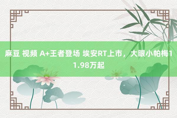 麻豆 视频 A+王者登场 埃安RT上市，大眼小帕梅11.98万起