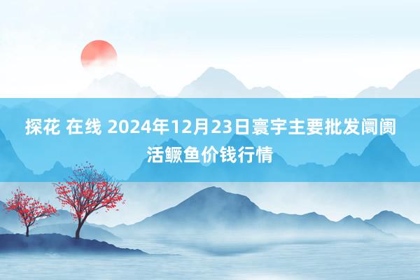 探花 在线 2024年12月23日寰宇主要批发阛阓活鳜鱼价钱行情