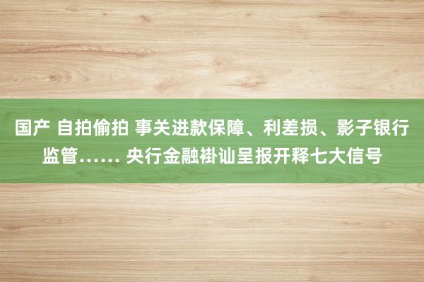 国产 自拍偷拍 事关进款保障、利差损、影子银行监管…… 央行金融褂讪呈报开释七大信号