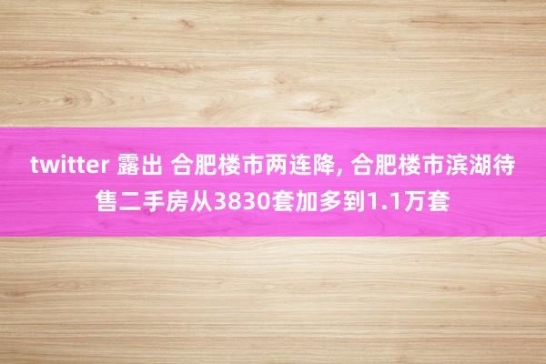 twitter 露出 合肥楼市两连降， 合肥楼市滨湖待售二手房从3830套加多到1.1万套