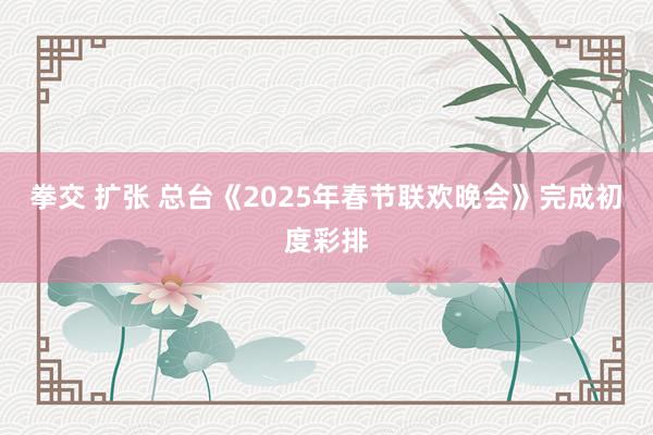 拳交 扩张 总台《2025年春节联欢晚会》完成初度彩排