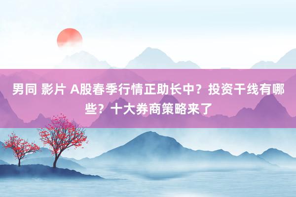 男同 影片 A股春季行情正助长中？投资干线有哪些？十大券商策略来了