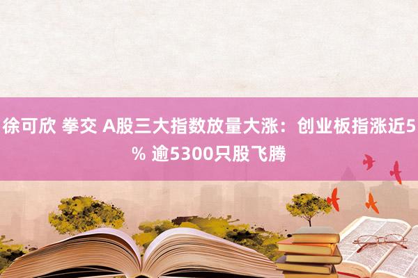 徐可欣 拳交 A股三大指数放量大涨：创业板指涨近5% 逾5300只股飞腾